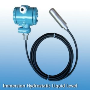 Immersion Hydrostatic Liquid Level