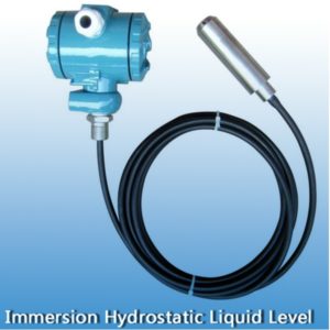 Immersion Hydrostatic Liquid Level WLI100