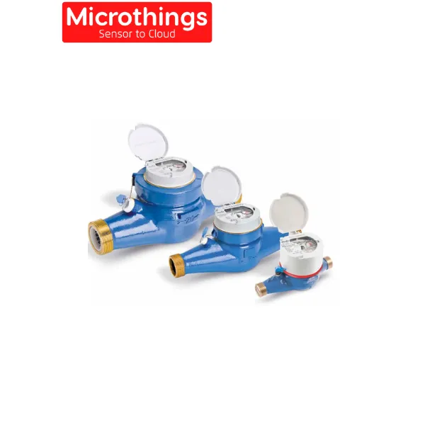 Water Meter Itron