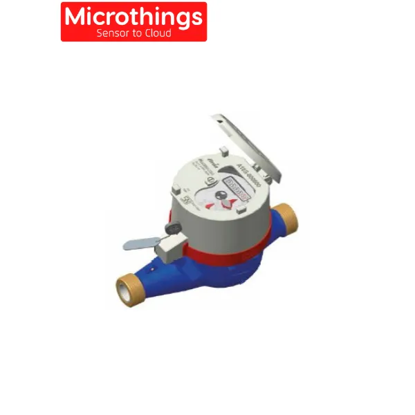 Water Meter Itron