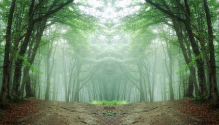 Monitoring Lingkungan Ekologi Hutan Berbasis IoT