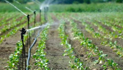 Monitoring Irigasi Tanaman Berbasis Internet of Things