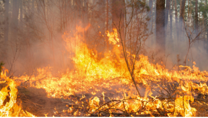 Sistem Monitoring Jarak Jauh Kebakaran Hutan Berbasis IoT