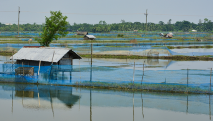 Budidaya Tambak Ikan Berbasis Internet of Things