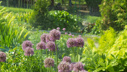 Sistem Monitoring Tanaman Otomatis Berbasis IoT