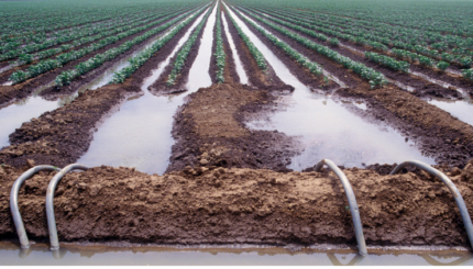 Teknologi Komunikasi Nirkabel Dalam Solusi Irigasi Pertanian