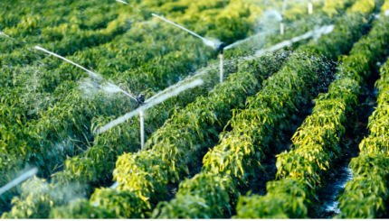 Sistem Irigasi Hemat Air Berbasis Internet of Things