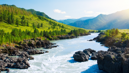 Sistem Monitoring Sungai Berbasis Internet of Things