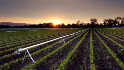 Sensor Ketinggian Air Berbasis Internet of Things