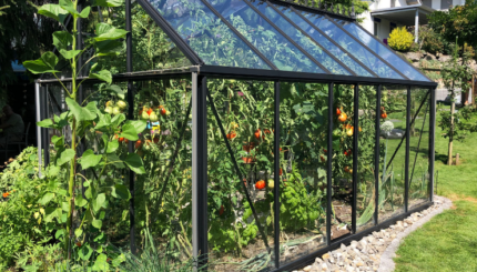 Sensor Suhu Nirkabel Untuk Memantau Rumah Kaca