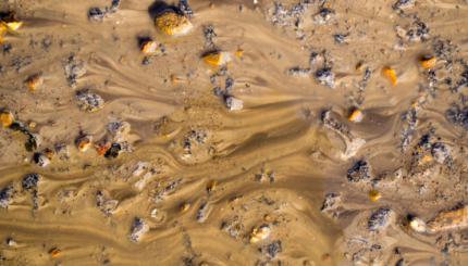 Keuntungan dari Pemancar Level Lumpur Berbasis IoT