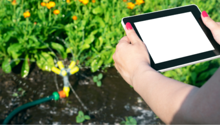 Sensor Ketinggian Air dengan Platfom Microthings