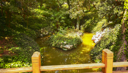 Pengukur Level Cairan Ultrasonik Non-Kontak untuk Pemantauan Saluran