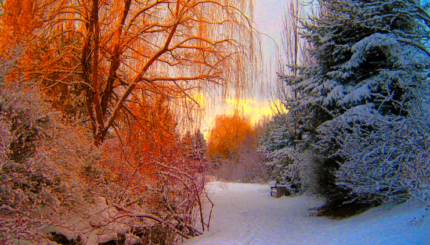 Stasiun Cuaca Dan Lingkungan Otomatis Berbasis IoT