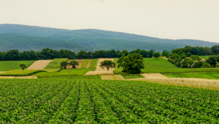 Sistem Monitoring Irigasi Secara Otomatis Berbasis IoT