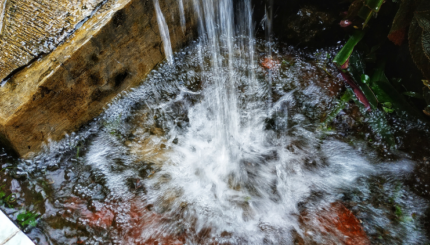 Sistem Monitor Pengumpulan Air Hujan Berbasis IoT