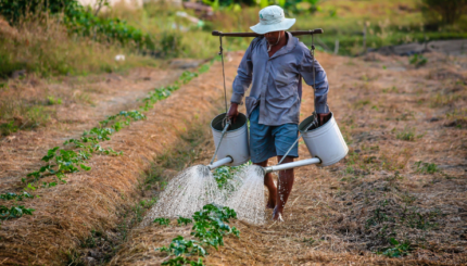 Monitoring Pertanian Pintar Berbasis IoT