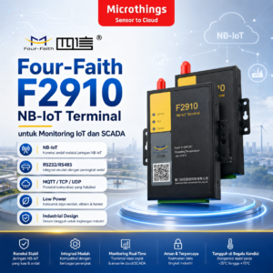F2910 NB-IoT Terminal 22072026