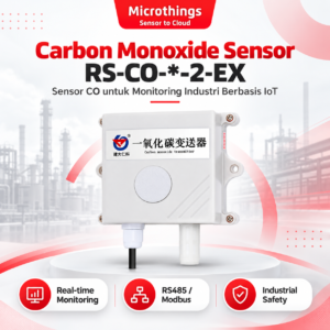 Carbon Monoxide Sensor RS-CO-*-2-EX
